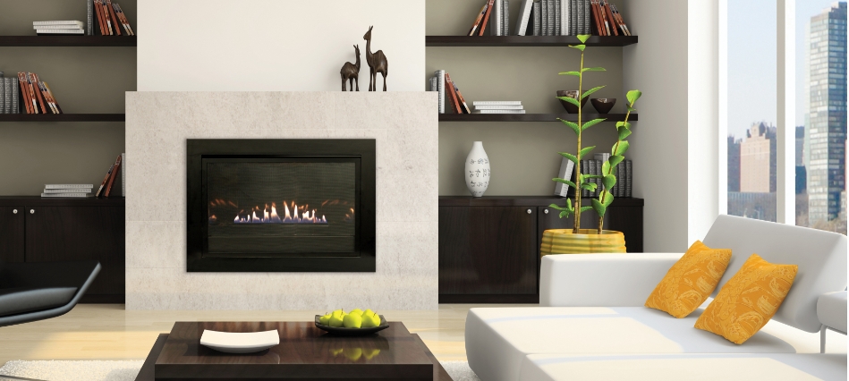 Fireplace Inserts